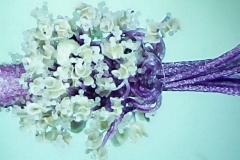 Сраснали тичинки на Malva sylvestris
